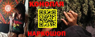 прущие крисы Моздок