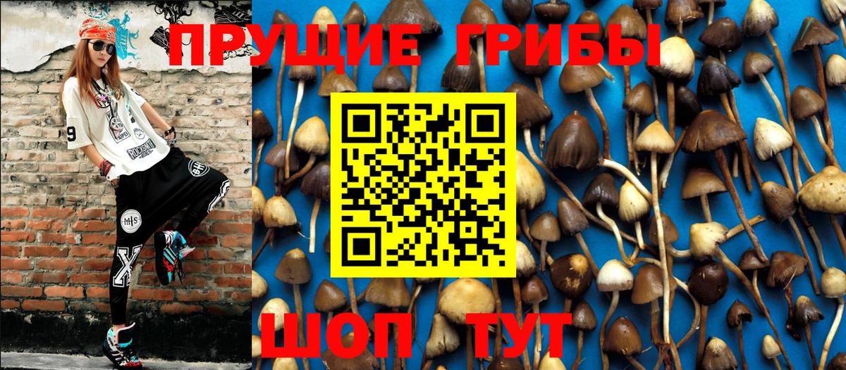 Озёры  Галлюциногенные грибы мицелий  Вход с VPN  Псилоцибиновые грибы Magic Shrooms 